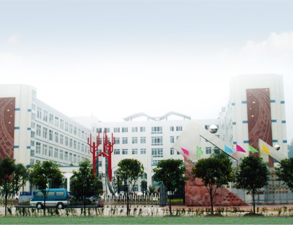 乐山外国语小学学校食堂香蕉一级视频设备工程项目